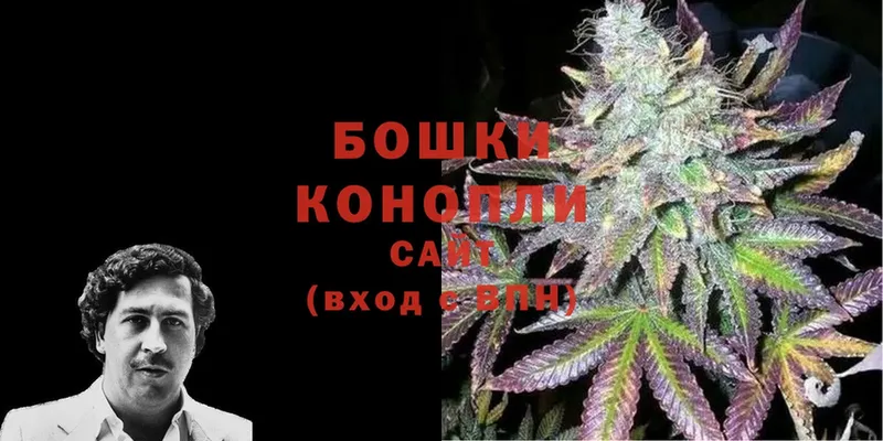 Марихуана OG Kush  закладки  Стрежевой 